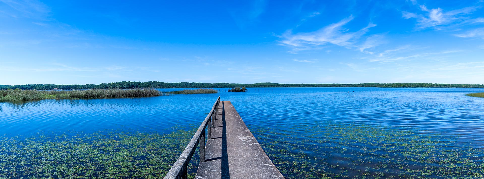 Camping proche du lac daureilhan