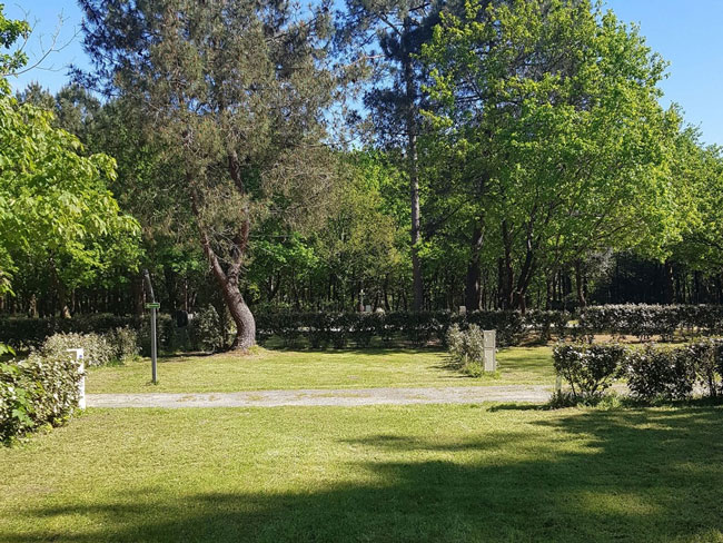 camping la clairiere les emplacements